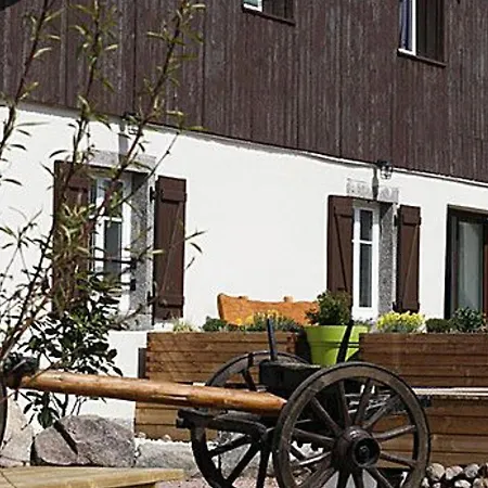 Ferienhaus Ferme Vosgienne Renovee Avec Spa, Sauna, Jacuzzi, Billard Et Etang Prive En Pleine Nature - Fr-1-589-327 Saulxures-sur-Moselotte