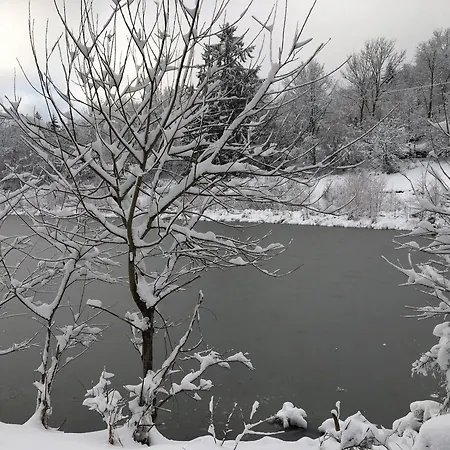 Ferme Vosgienne Renovee Avec Spa, Sauna, Jacuzzi, Billard Et Etang Prive En Pleine Nature - Fr-1-589-327 Gospodarstwo wiejskie Saulxures-sur-Moselotte