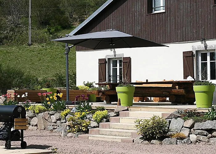 Ferme Vosgienne Renovee Avec Spa, Sauna, Jacuzzi, Billard Et Etang Prive En Pleine Nature - Fr-1-589-327 * Saulxures-sur-Moselotte