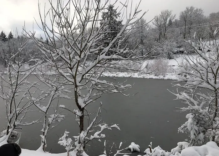 Ferme Vosgienne Renovee Avec Spa, Sauna, Jacuzzi, Billard Et Etang Prive En Pleine Nature - Fr-1-589-327 Prázdninový dům Saulxures-sur-Moselotte